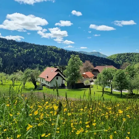 아파트 Apartma2 Pri Adamu Mislinja