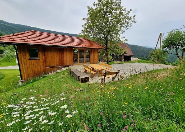 Apartma2 Pri Adamu * Mislinja